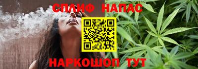 гашик Малгобек