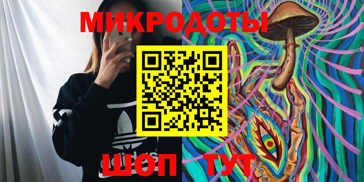 Псилоцибиновые грибы Psilocybine cubensis Зеленокумск